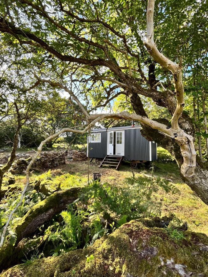 The Hazel Hut Villa Westport Eksteriør billede